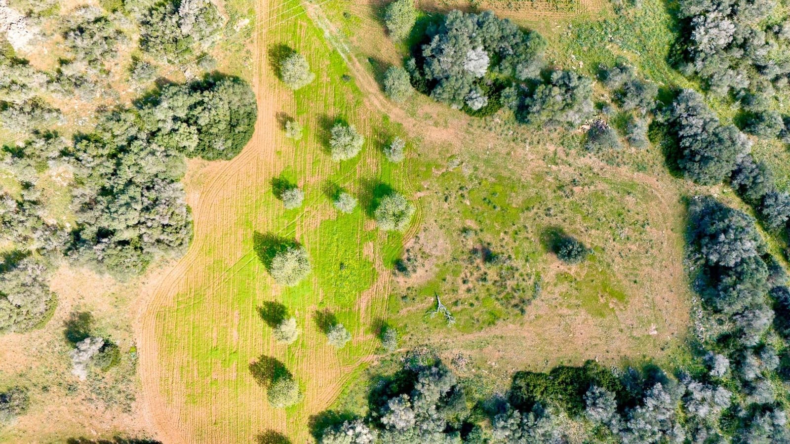 Building Plot for sale in Santanyi - € 1,350,000 (Ref: 9674172)