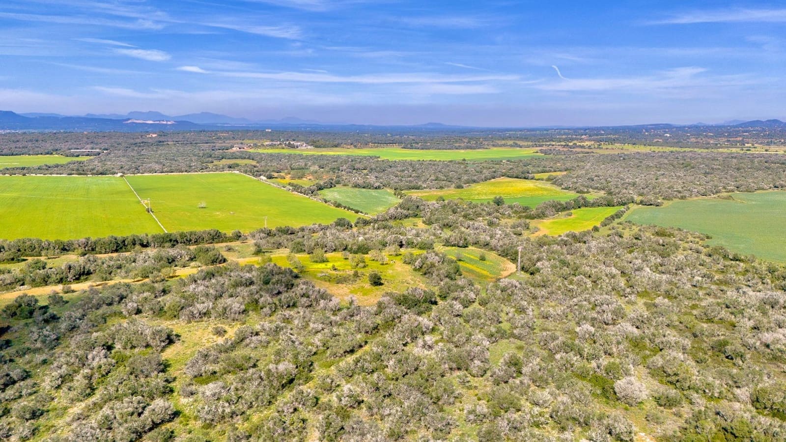 Działka budowlana na sprzedaż w Santanyi - 1 350 000 € (Ref: 9674172)