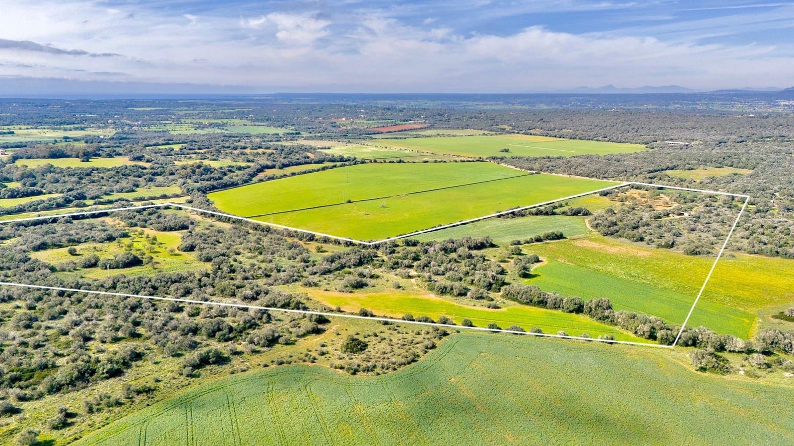 Działka budowlana na sprzedaż w Santanyi - 1 350 000 € (Ref: 9674172)