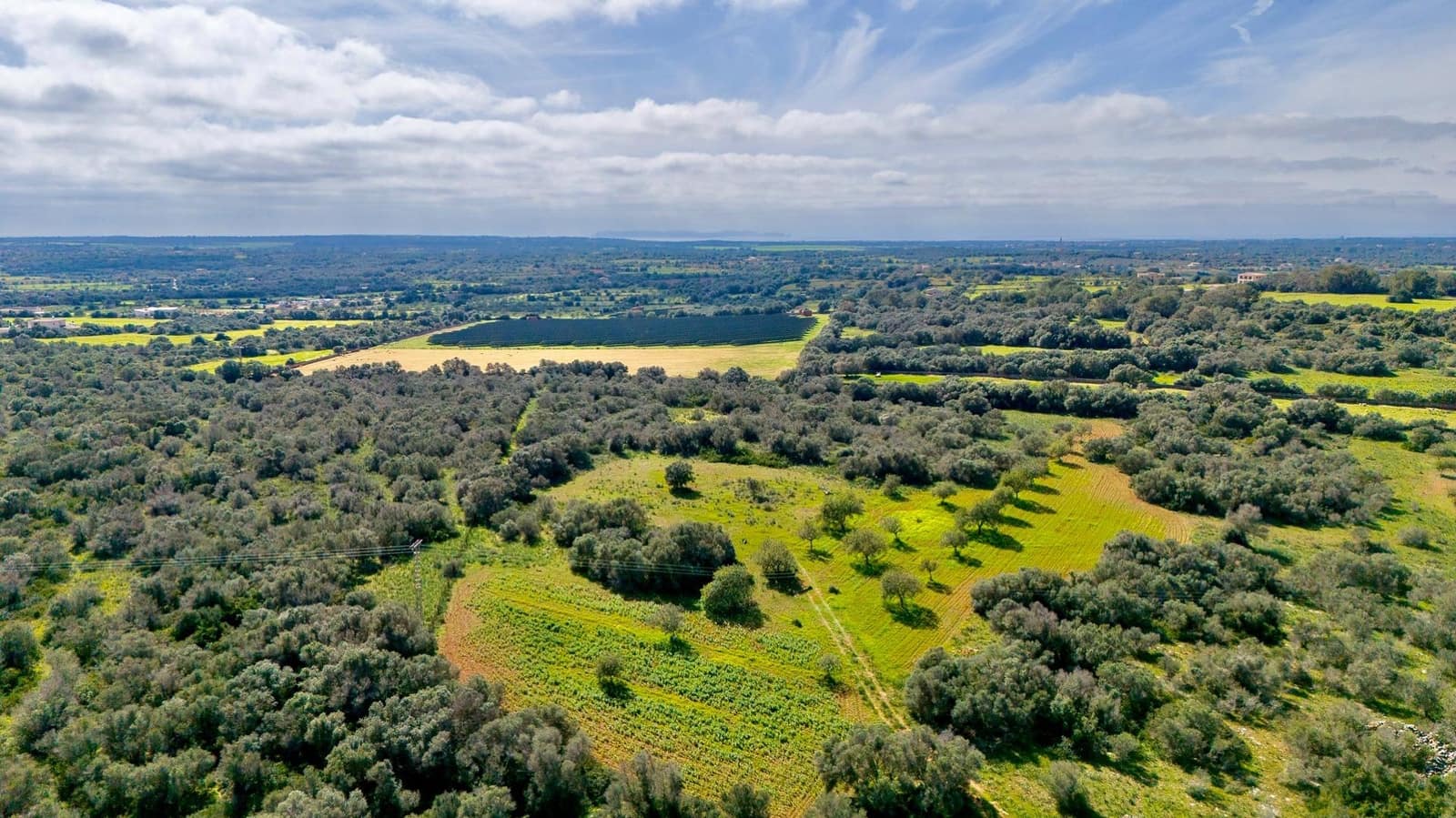 Działka budowlana na sprzedaż w Santanyi - 1 350 000 € (Ref: 9674172)