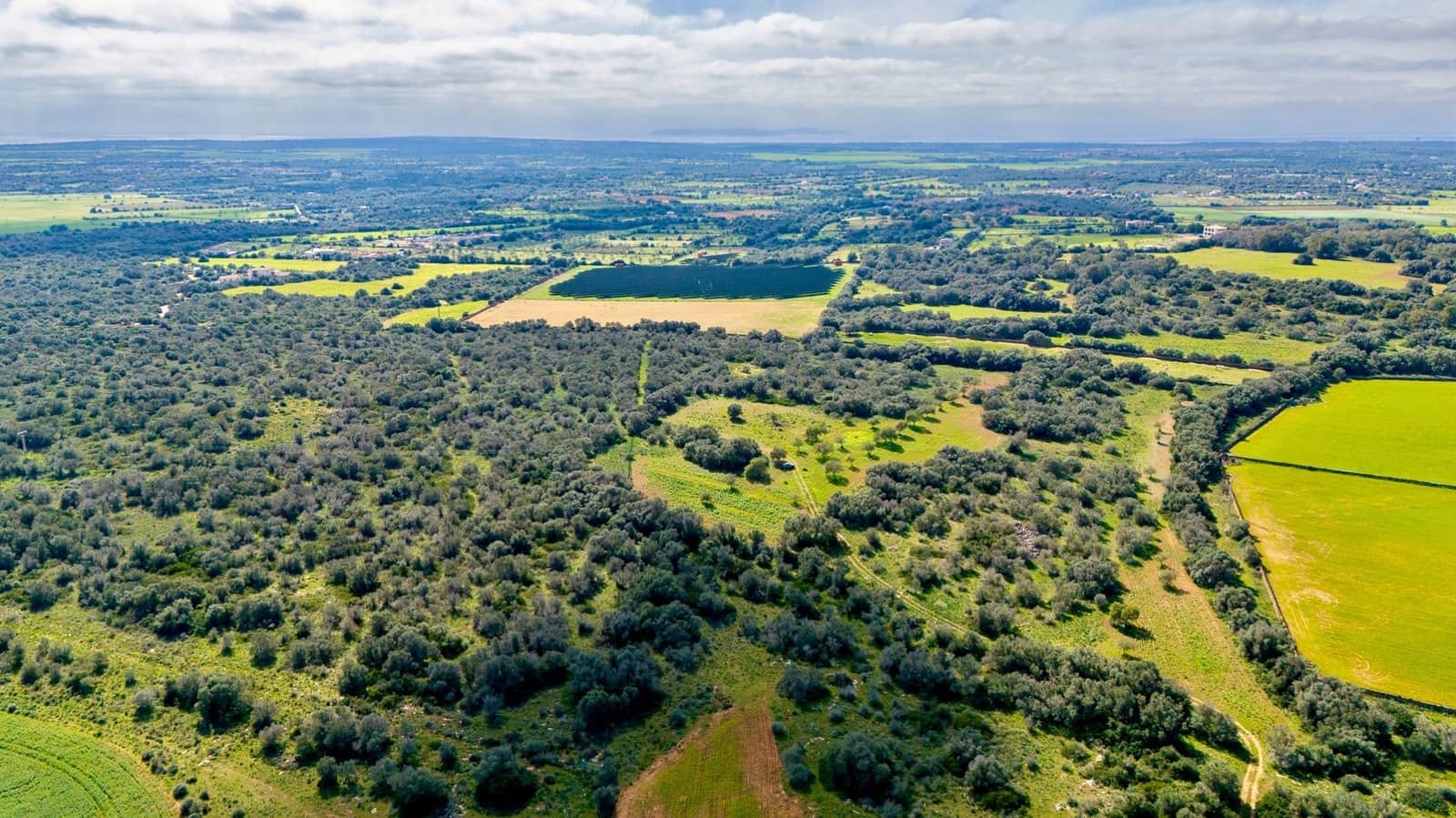 Działka budowlana na sprzedaż w Santanyi - 1 350 000 € (Ref: 9674172)