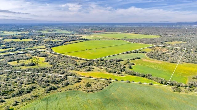 Terreno para Construção para venda em Santanyí - 1 350 000 € (Ref: 9674172)