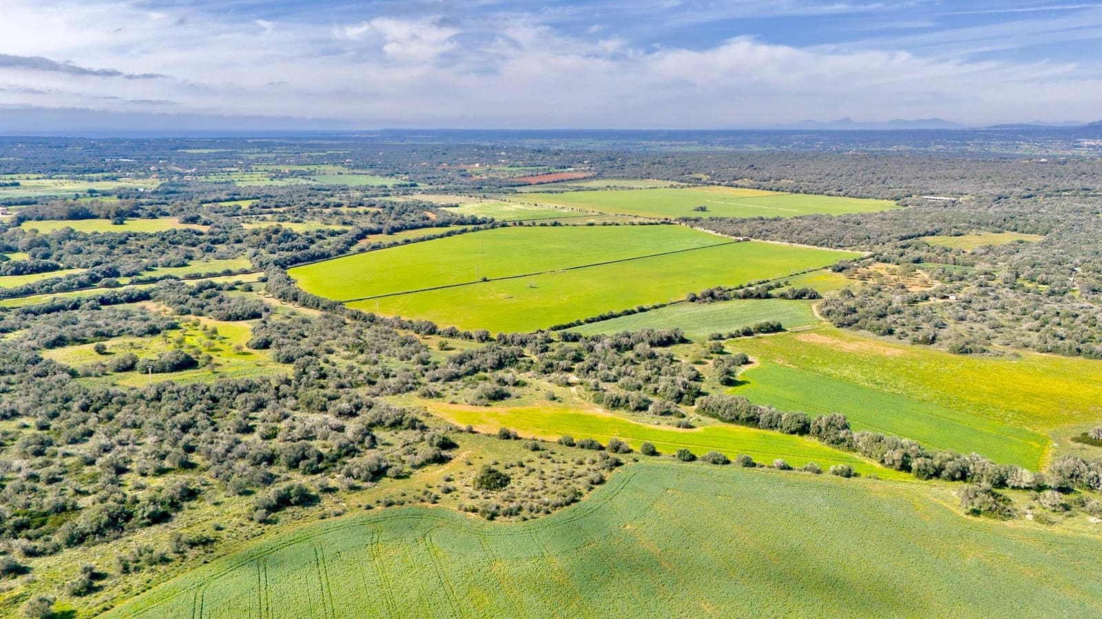 Działka budowlana na sprzedaż w Santanyi - 1 350 000 € (Ref: 9674172)