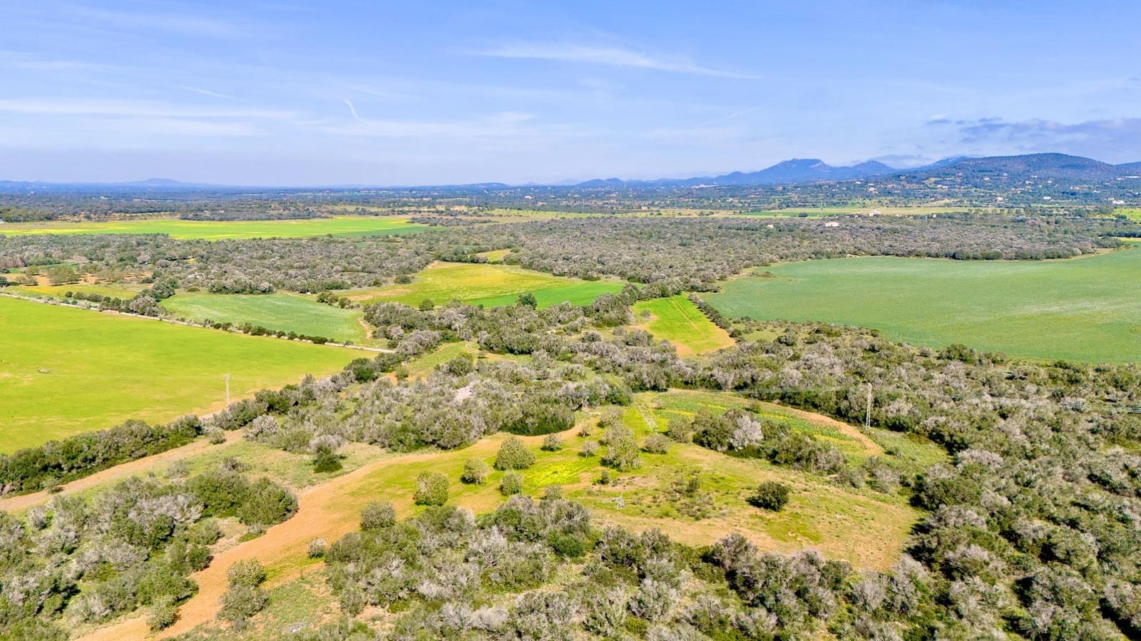 Działka budowlana na sprzedaż w Santanyi - 1 350 000 € (Ref: 9674172)