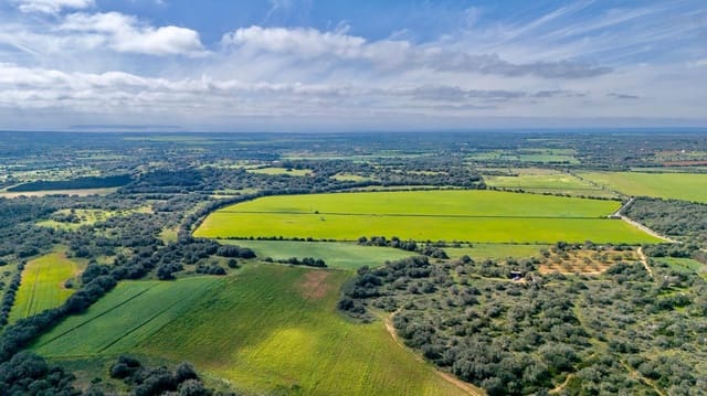 Bouwgrond te koop in Santanyí - € 1.350.000 (Ref: 9674172)