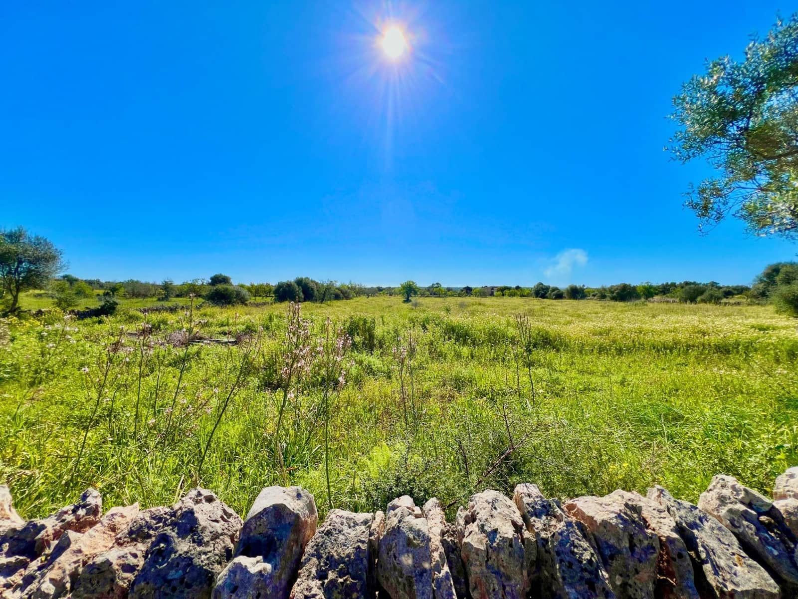 Byggetomt til salgs i Es Llombards - € 595 000 (Ref: 9698807)