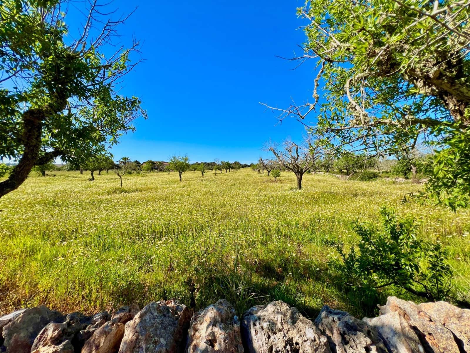 Byggetomt til salgs i Es Llombards - € 595 000 (Ref: 9698807)