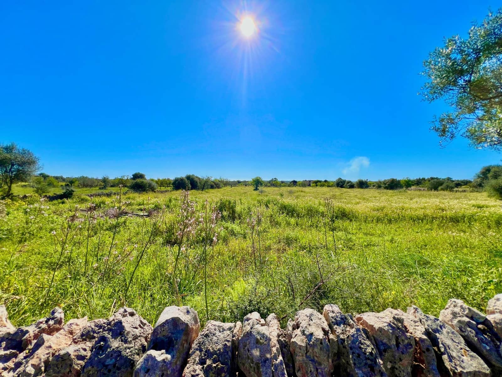 Building Plot for sale in Es Llombards - € 595,000 (Ref: 9698807)