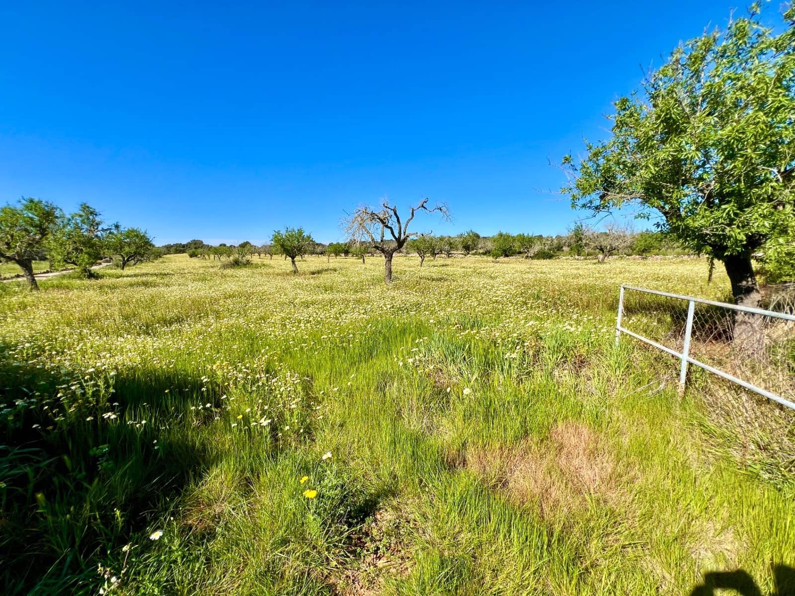 Building Plot for sale in Es Llombards - € 595,000 (Ref: 9698807)