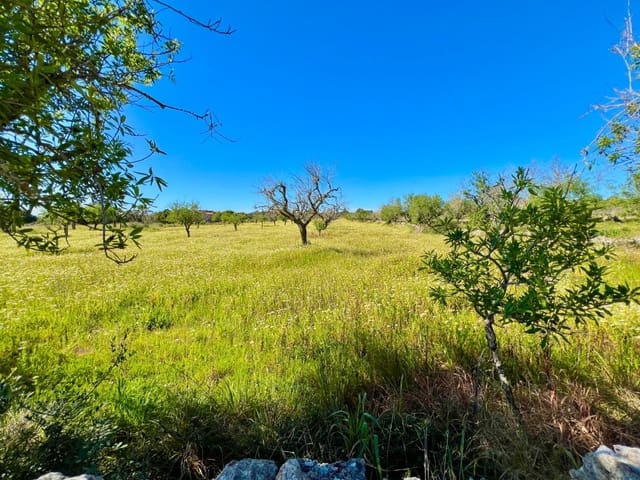 Terrain à Bâtir à vendre à Es Llombards, Santanyí - 595 000 € (Ref: 9698807)