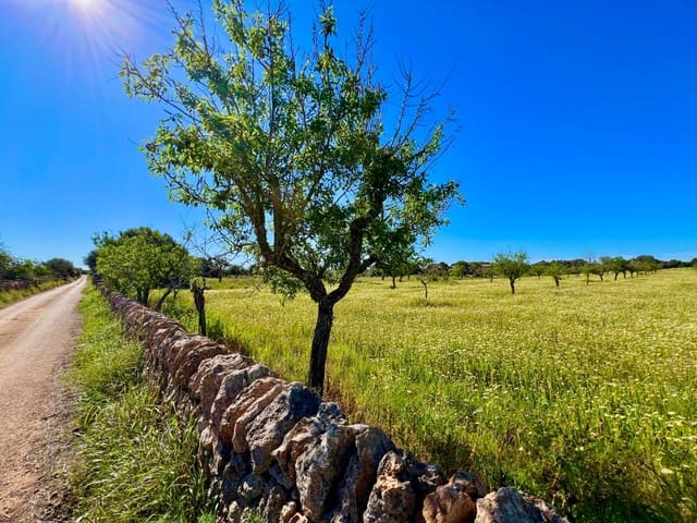 Terrain à Bâtir à vendre à Es Llombards, Santanyí - 595 000 € (Ref: 9698807)