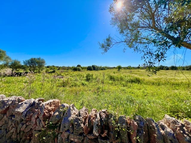 Bouwgrond te koop in Es Llombards, Santanyí - € 595.000 (Ref: 9698807)