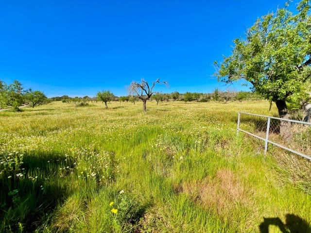 Bouwgrond te koop in Es Llombards, Santanyí - € 595.000 (Ref: 9698807)