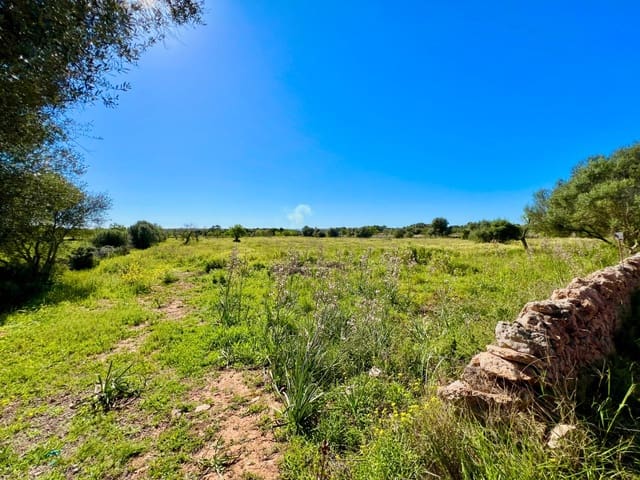 Area Edificabile in vendita in Es Llombards, Santanyí - 595.000 € (Rif: 9698807)