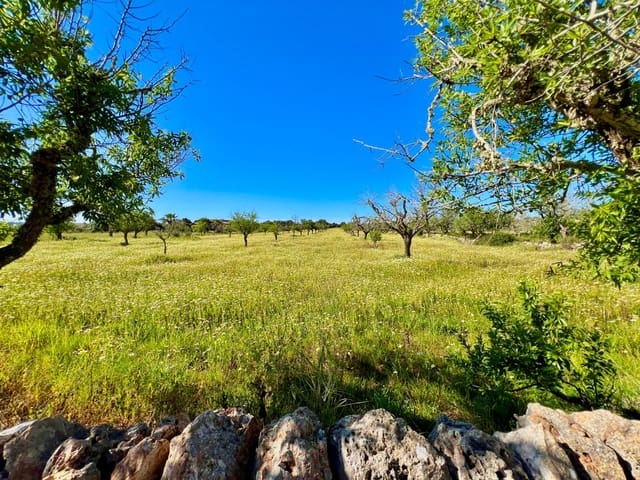 Area Edificabile in vendita in Es Llombards, Santanyí - 595.000 € (Rif: 9698807)