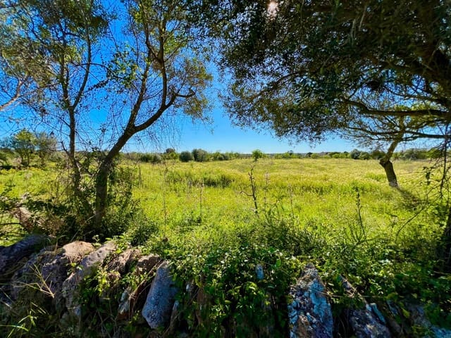 Byggegrund til salg i Es Llombards, Santanyí - € 595.000 (Ref: 9698807)