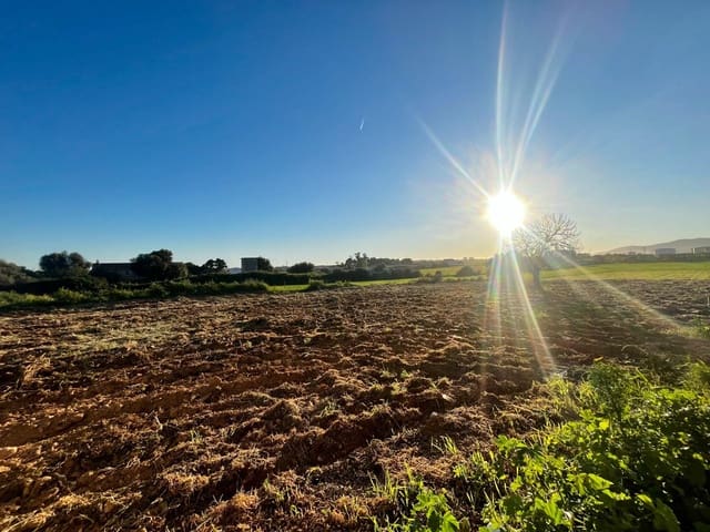 Grond te koop in Son Ferriol, Palma de Mallorca - € 550.000 (Ref: 9711935)