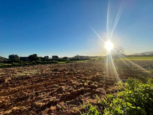 Teren niezagospodarowany na sprzedaż w Son Ferriol, Palma de Mallorca - 550 000 € (Ref: 9711935)