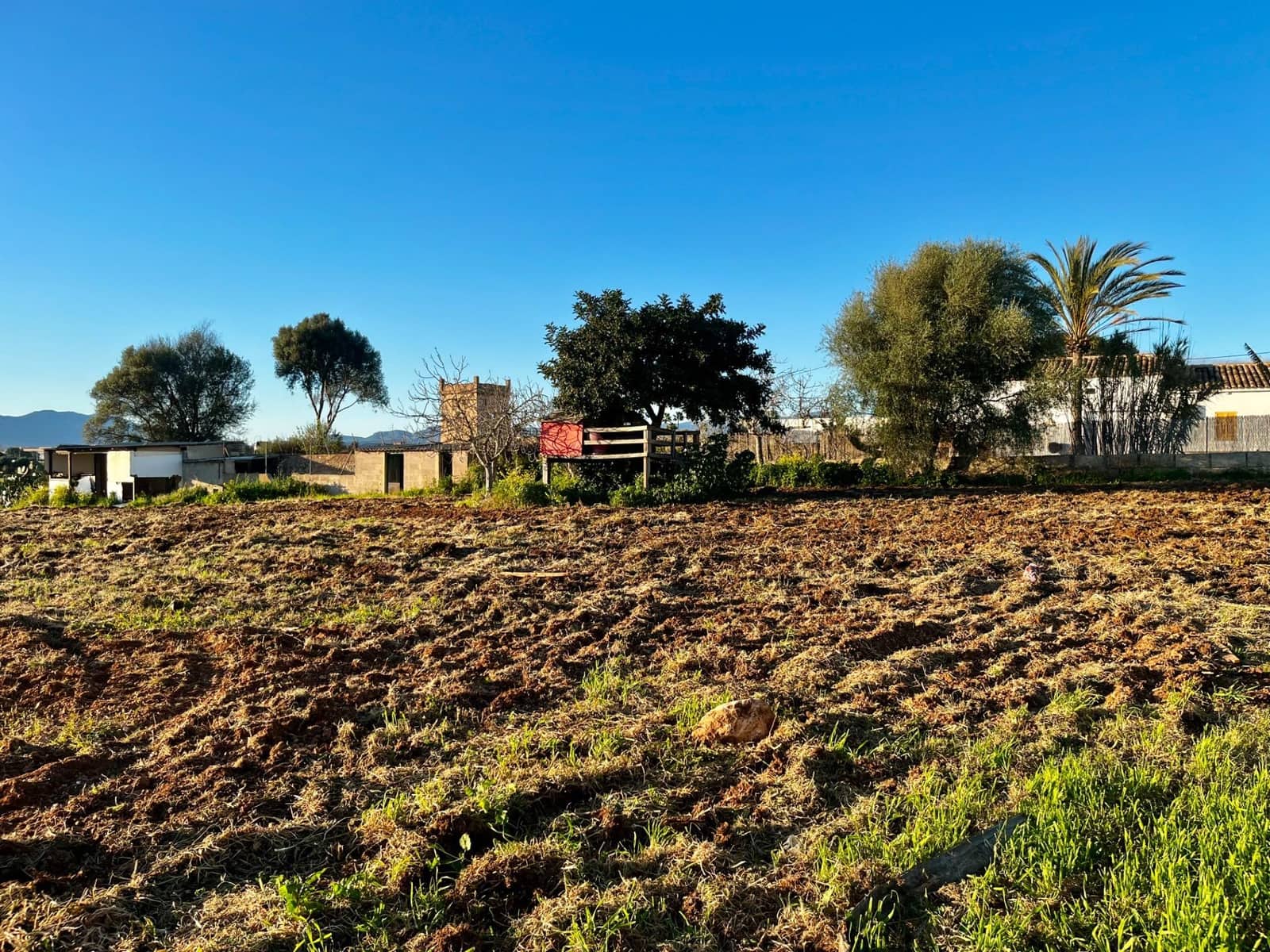 Grunde uden byggetilladelser til salg i Son Ferriol - € 550.000 (Ref: 9711935)