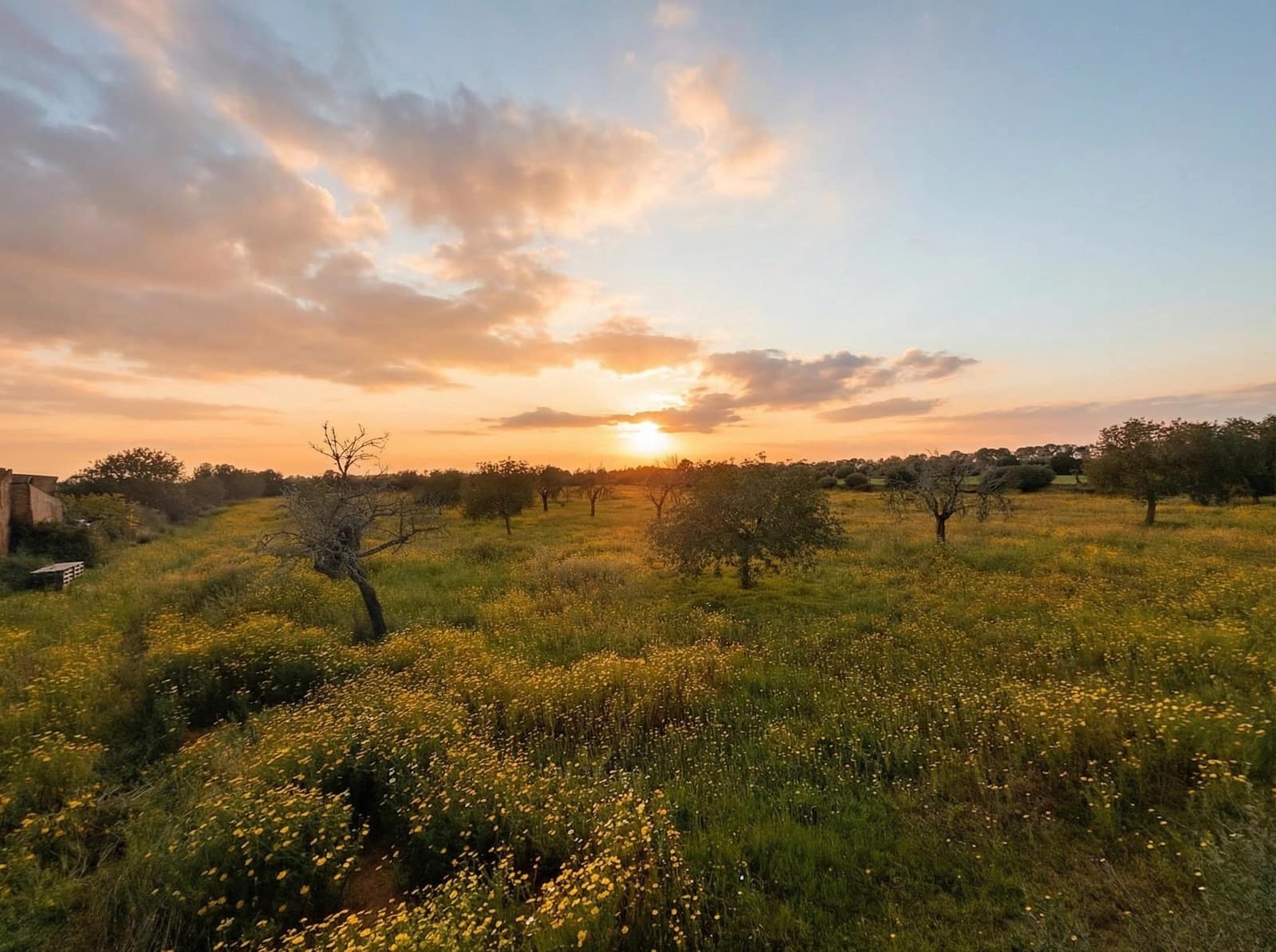 Area Edificabile in vendita in Llucmajor - 220.000 € (Rif: 9719885)