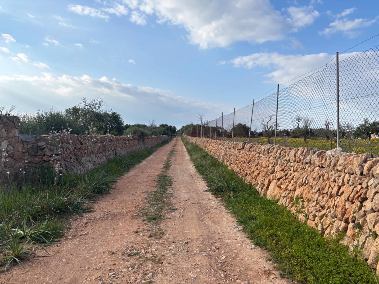 Area Edificabile in vendita in Llucmajor - 220.000 € (Rif: 9719885)