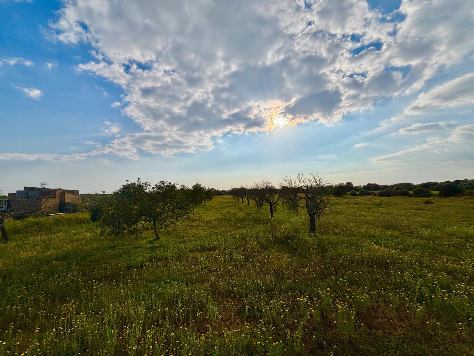 Area Edificabile in vendita in Llucmajor - 220.000 € (Rif: 9719885)