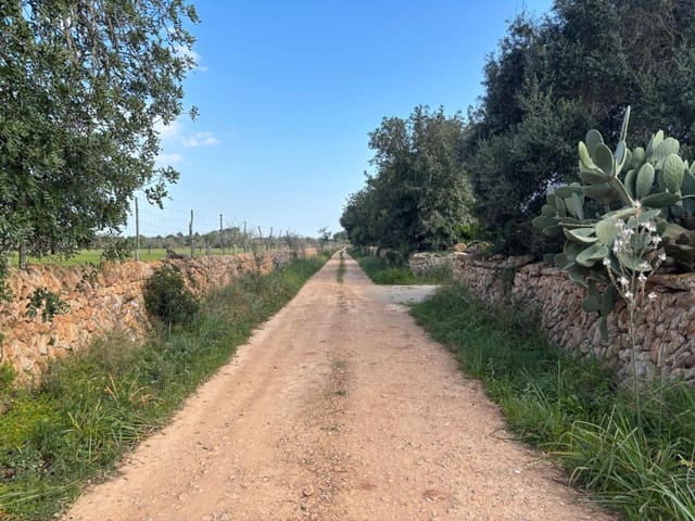 Terrain à Bâtir à vendre à Llucmajor - 220 000 € (Ref: 9719885)