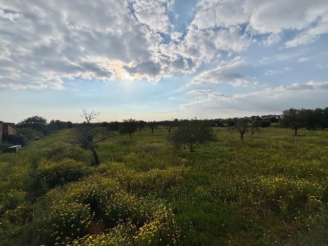 Terrain à Bâtir à vendre à Llucmajor - 220 000 € (Ref: 9719885)