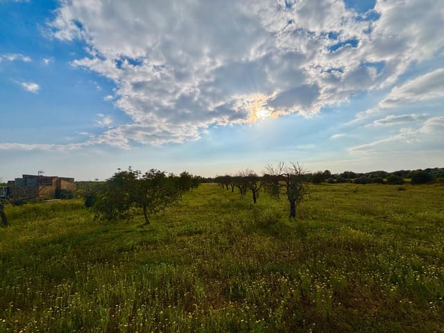 Solar/Parcela en Llucmajor en venta - 210.000 € (Ref: 9719885)