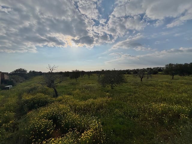 Solar/Parcela en Llucmajor en venta - 210.000 € (Ref: 9719885)