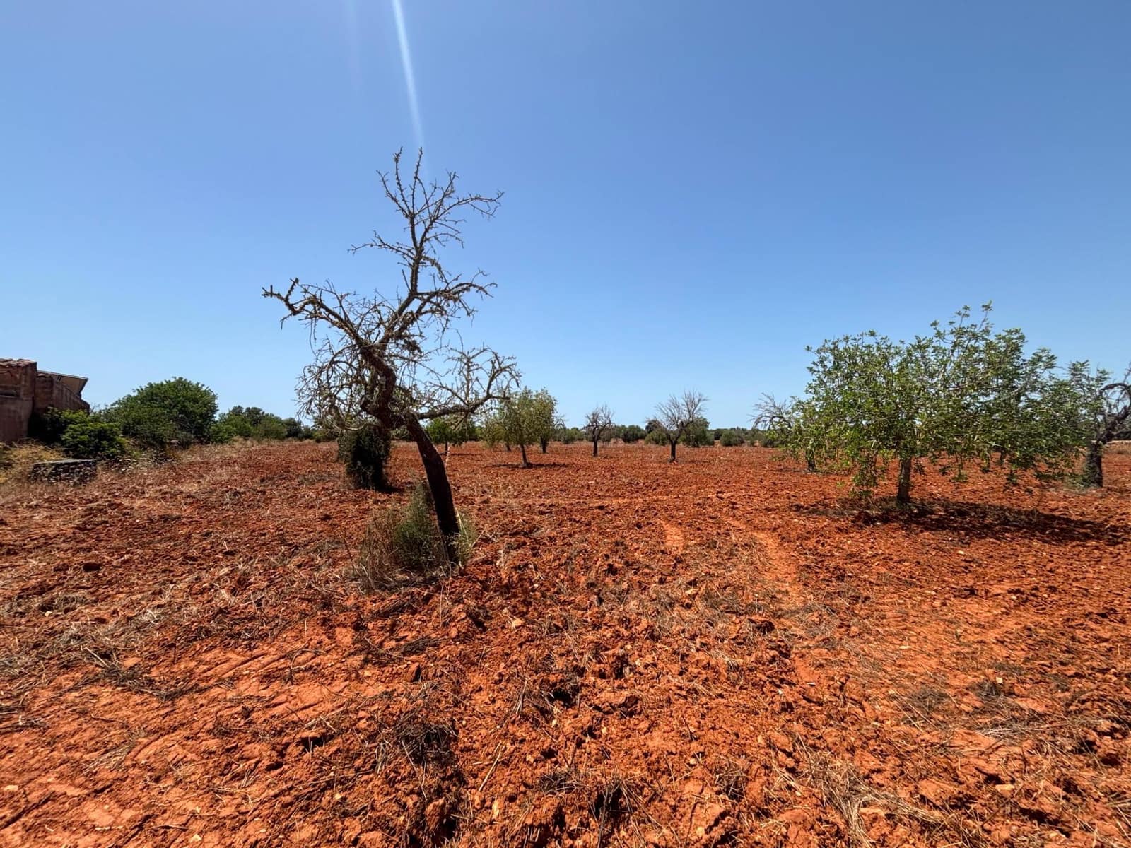 Building Plot for sale in Llucmajor - € 193,000 (Ref: 9719885)