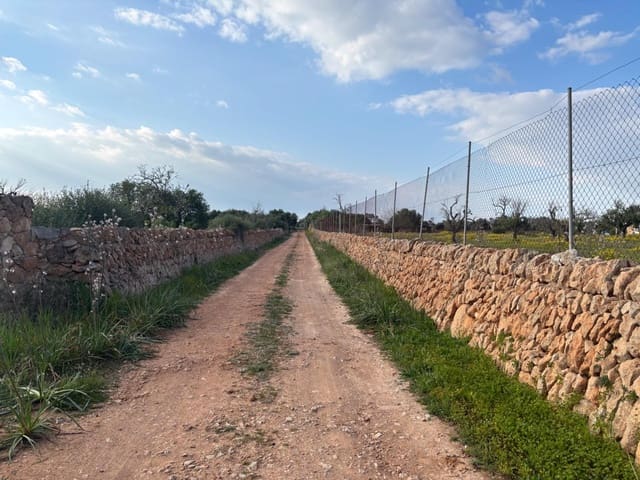 Terreno para Construção para venda em Llucmajor - 179 000 € (Ref: 9719885)