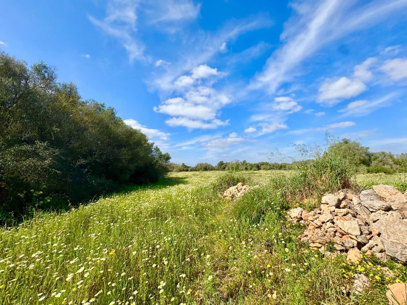 Bauplatz zu verkaufen in Campos - 350.000 € (Ref: 9719886)