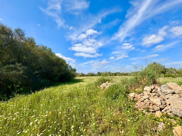 Bouwgrond te koop in Campos - € 350.000 (Ref: 9719886)