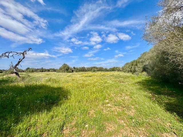 Bouwgrond te koop in Campos - € 350.000 (Ref: 9719886)