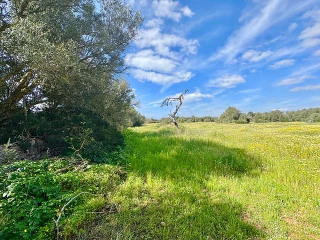 Bouwgrond te koop in Campos - € 350.000 (Ref: 9719886)