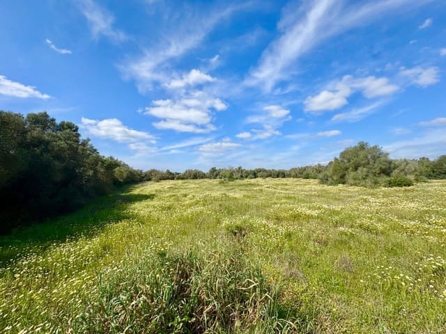 Bouwgrond te koop in Campos - € 350.000 (Ref: 9719886)