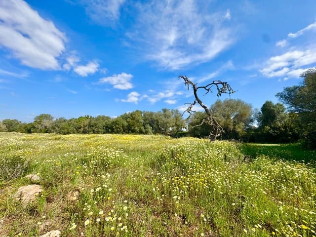 Bouwgrond te koop in Campos - € 350.000 (Ref: 9719886)