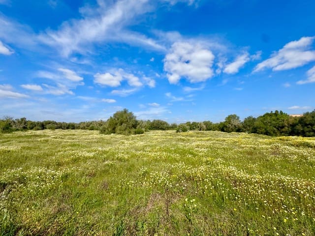 Bouwgrond te koop in Campos - € 350.000 (Ref: 9719886)