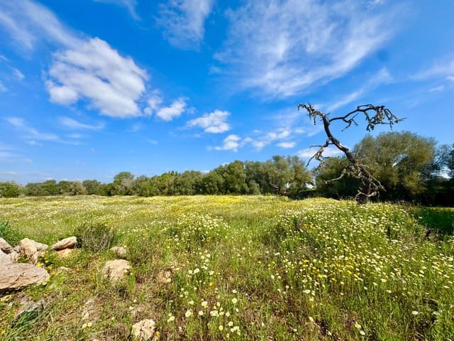 Bouwgrond te koop in Campos - € 350.000 (Ref: 9719886)