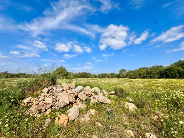 Bouwgrond te koop in Campos - € 350.000 (Ref: 9719886)