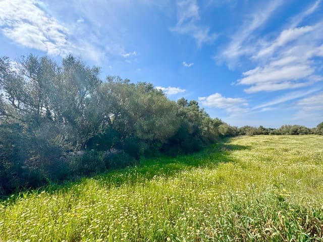 Terreno para Construção para venda em Campos - 319 000 € (Ref: 9719886)