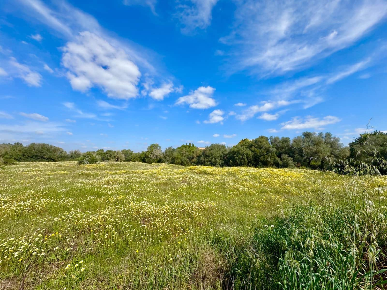 Building Plot for sale in Campos - € 319,000 (Ref: 9719886)