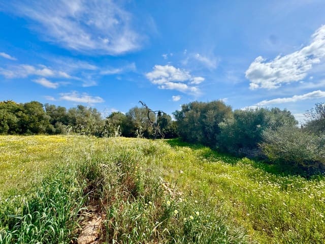 Terreno para Construção para venda em Campos - 319 000 € (Ref: 9719886)