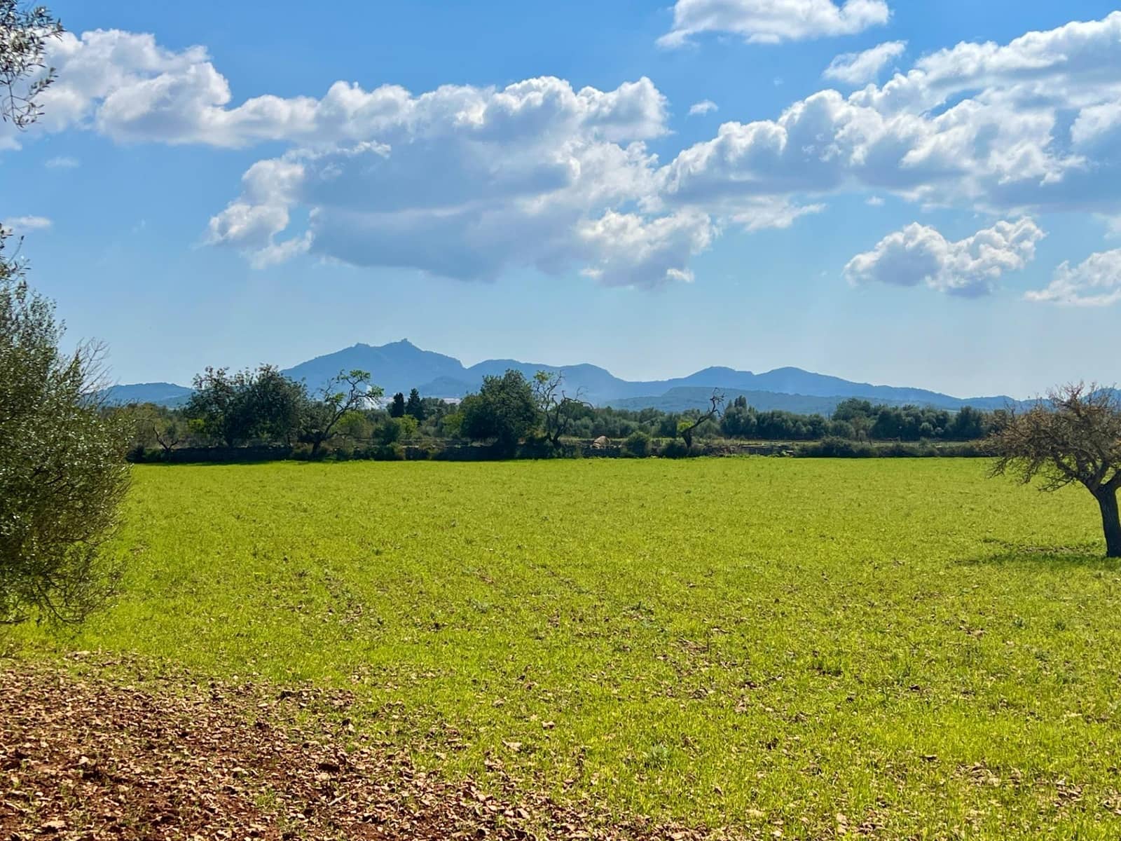 Building Plot for sale in Porreres - € 175,000 (Ref: 9719887)