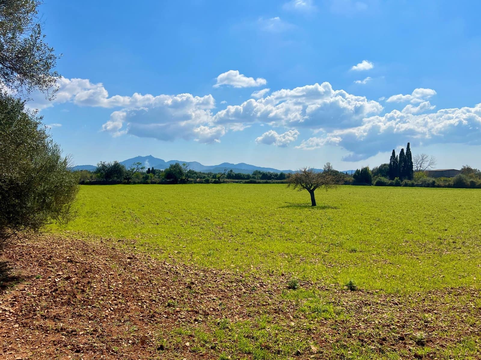 Building Plot for sale in Porreres - € 175,000 (Ref: 9719887)