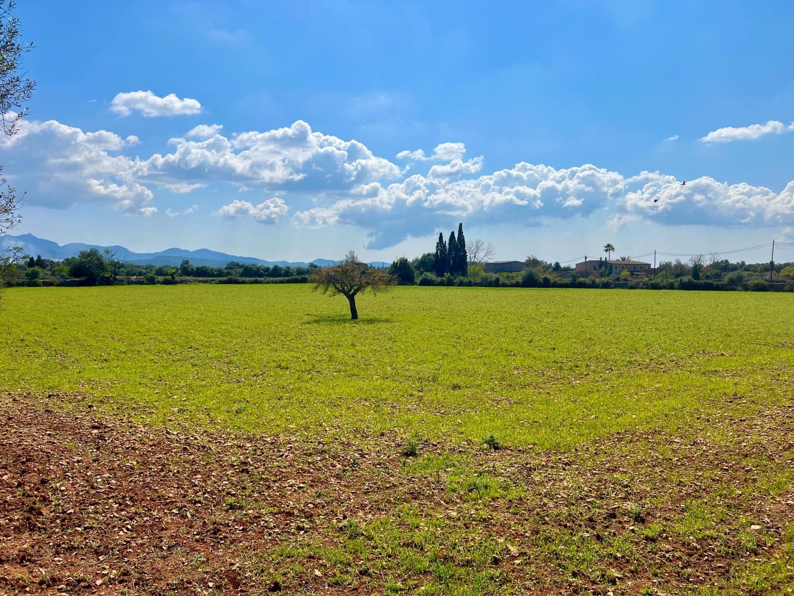 Building Plot for sale in Porreres - € 175,000 (Ref: 9719887)