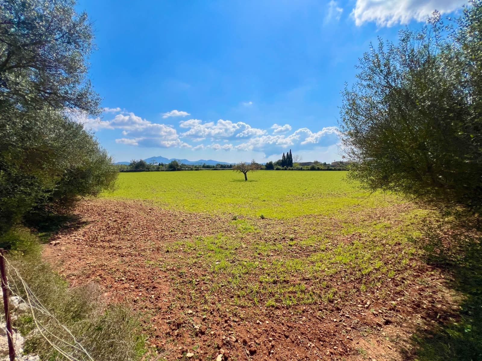 Building Plot for sale in Porreres - € 175,000 (Ref: 9719887)