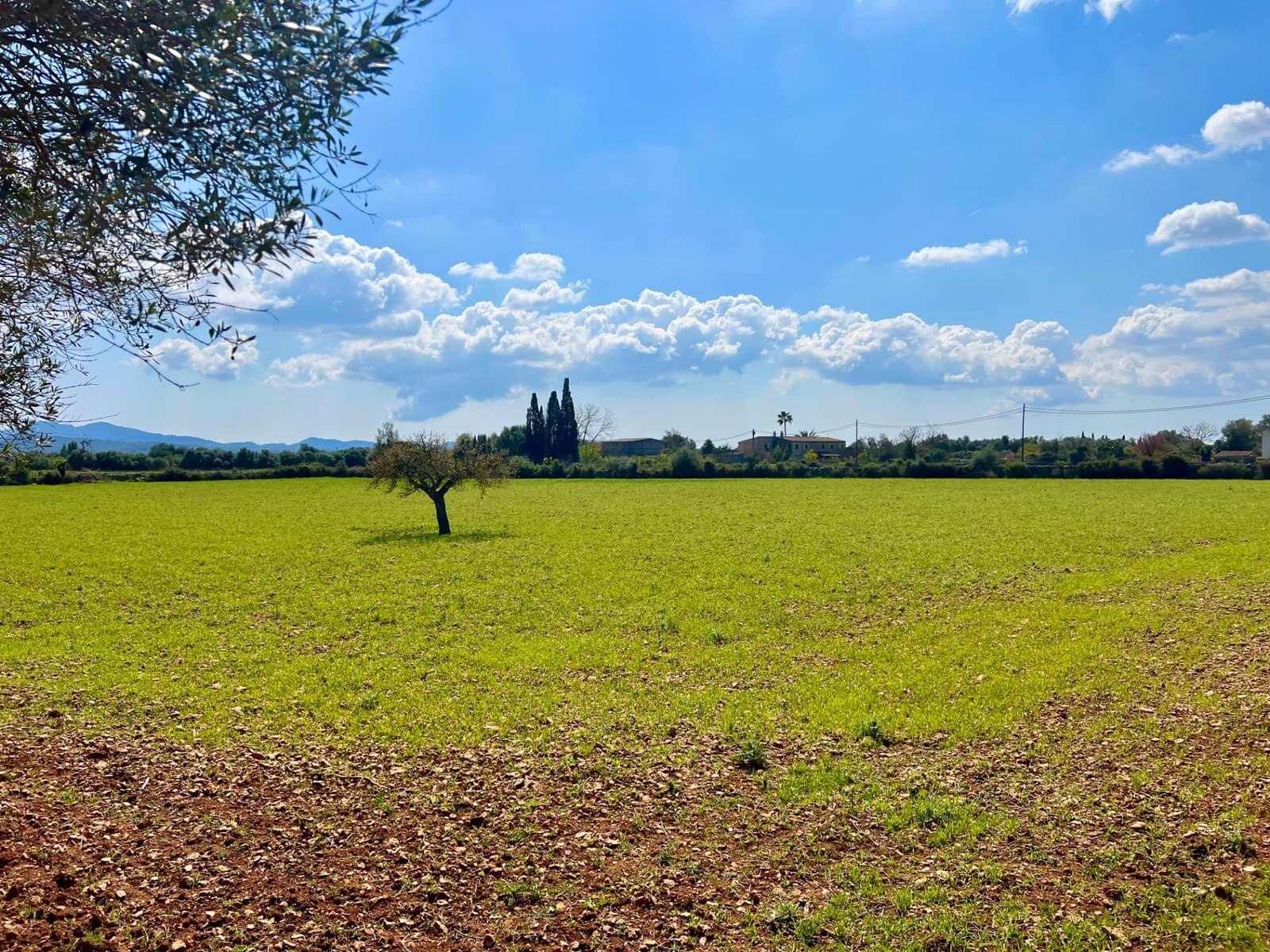 Building Plot for sale in Porreres - € 175,000 (Ref: 9719887)