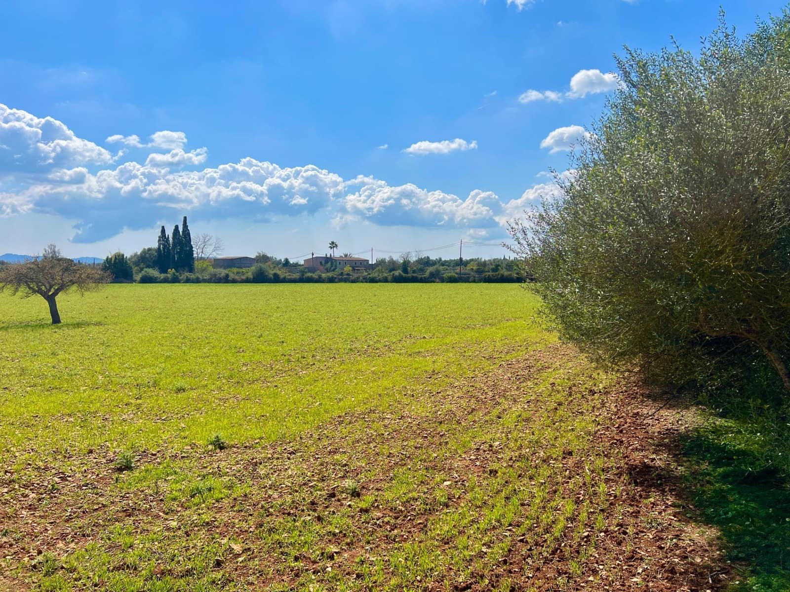 Building Plot for sale in Porreres - € 175,000 (Ref: 9719887)